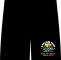 Lakeside Park Run or Walk Running Shorts